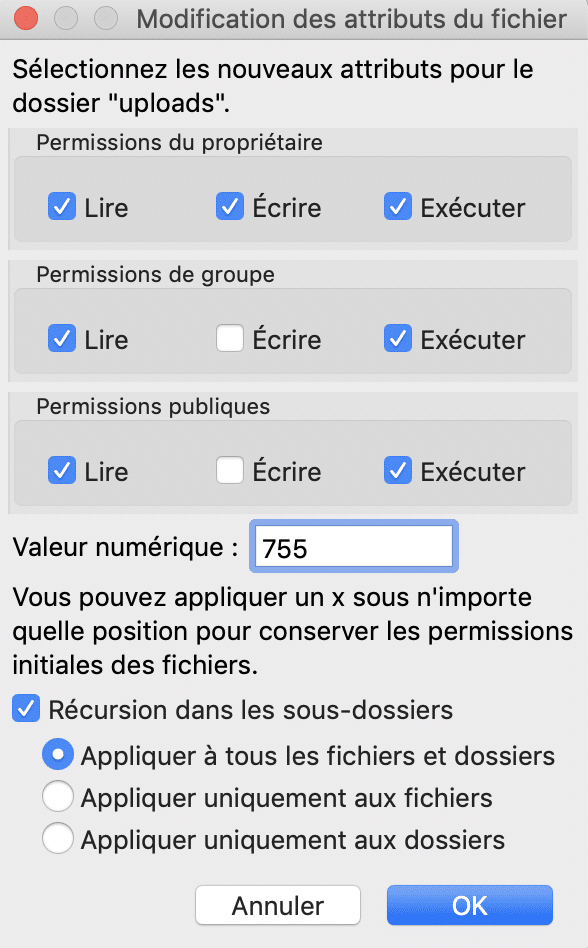 Les permissions du dossier « uploads ».