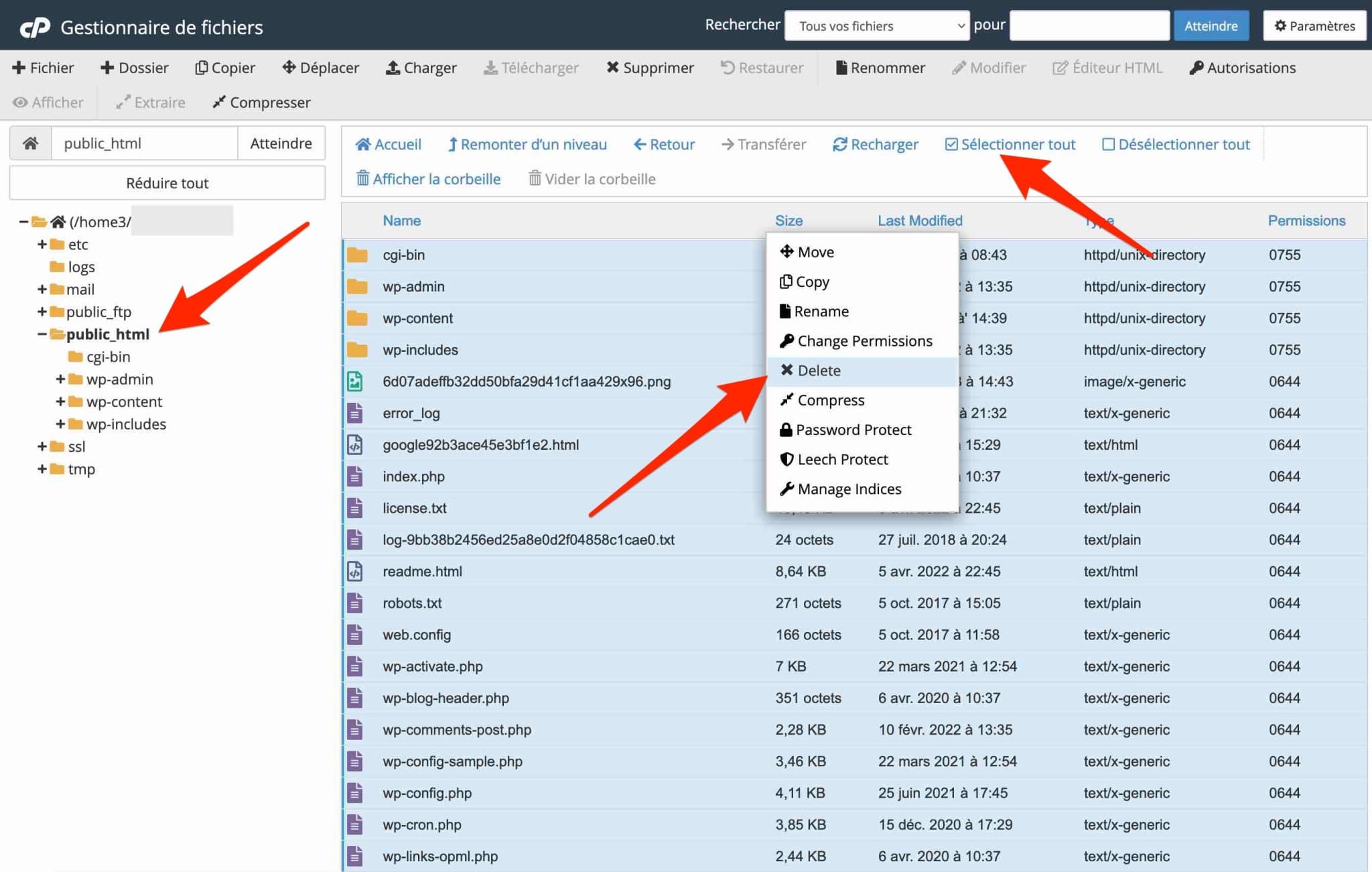 Interface cPanel pour supprimer un site WordPress.