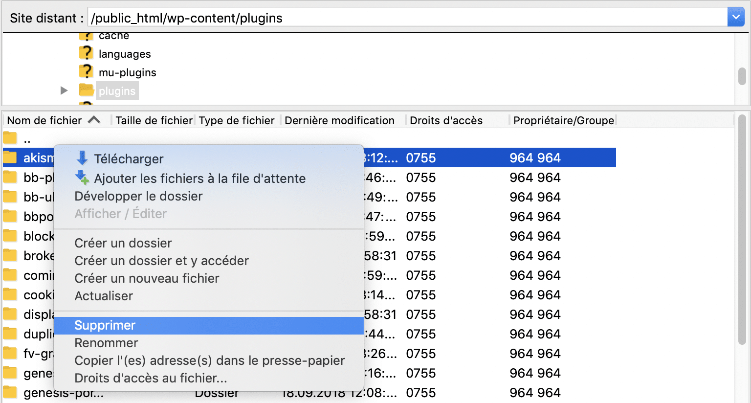 Supprimer les plugins de votre FTP.