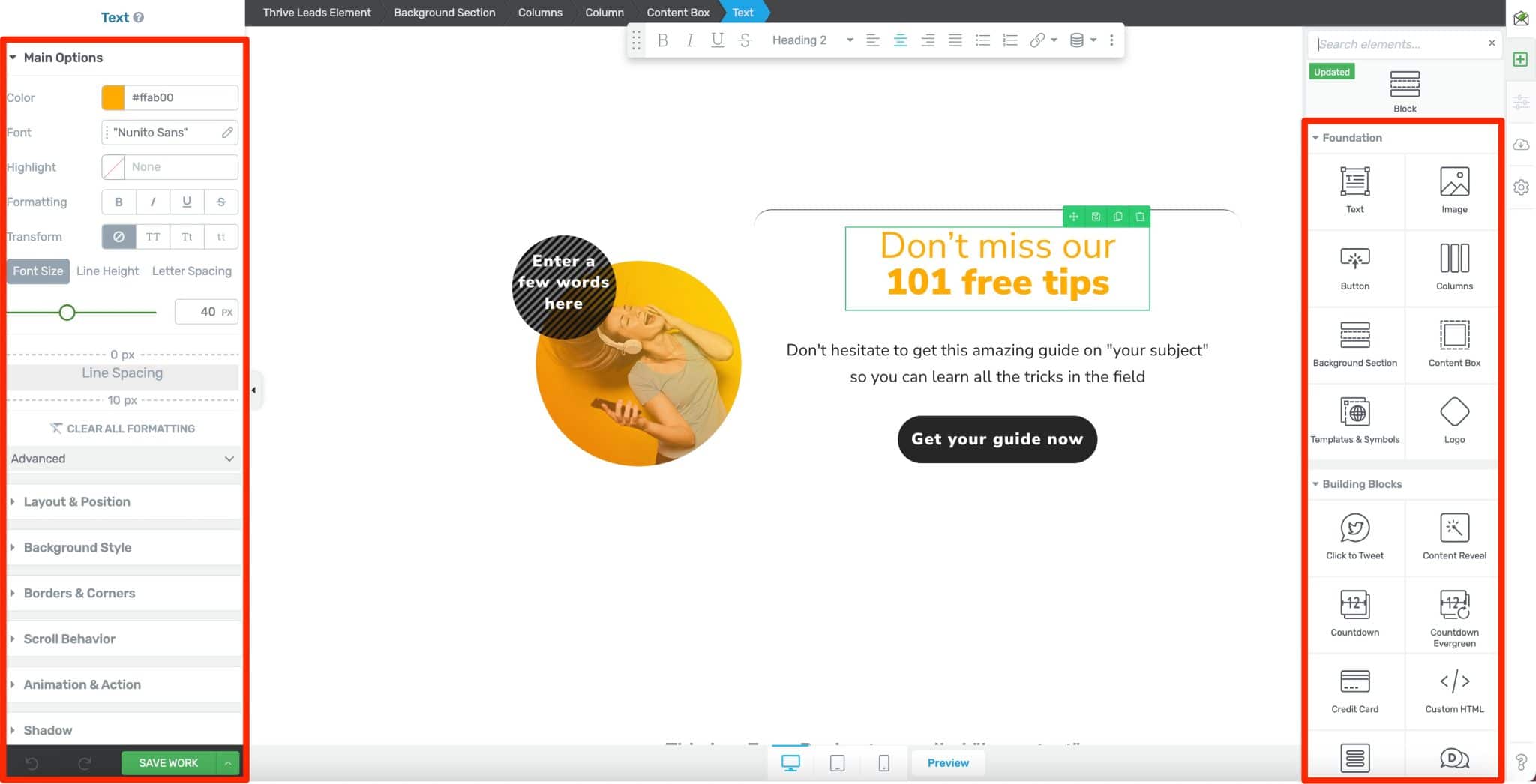 Edit screen of Thrive Leads.