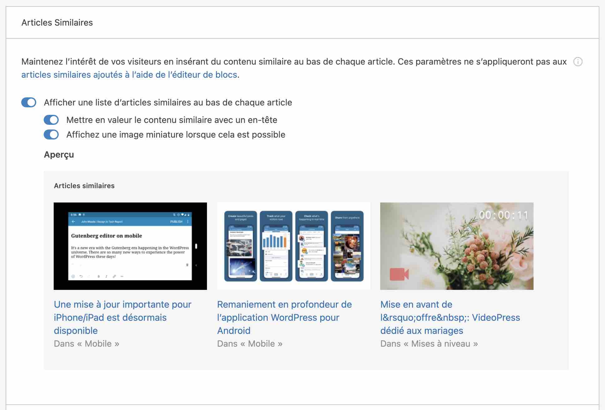 Jetpack permet d'afficher des articles similaires.