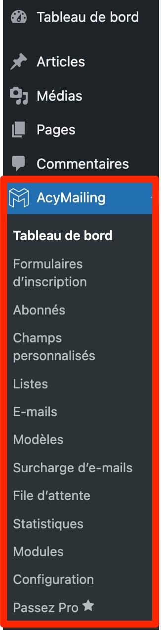 Le menu proposé par AcyMailing sur WordPress.