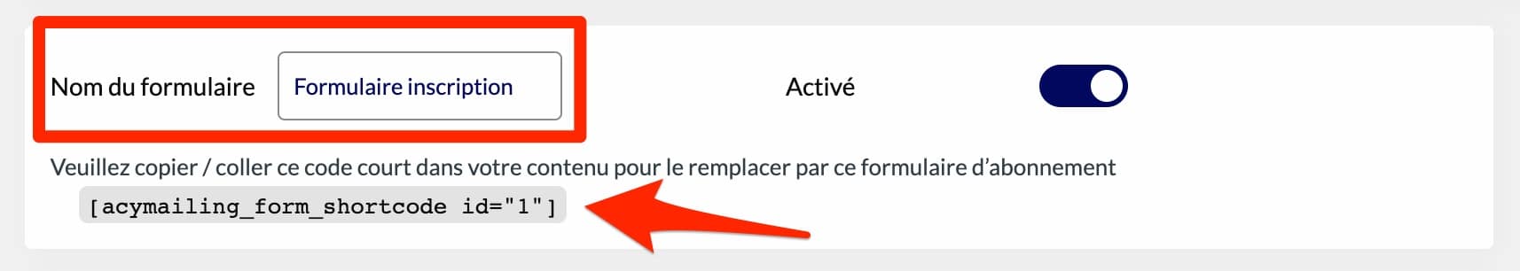 La première étape consiste à donner un nom à votre formulaire d'inscription AcyMailing.