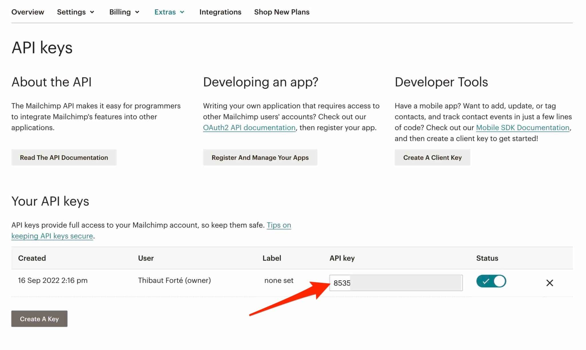 Une clé API est nécessaire pour pouvoir créer une newsletter WordPress avec Mailchimp.