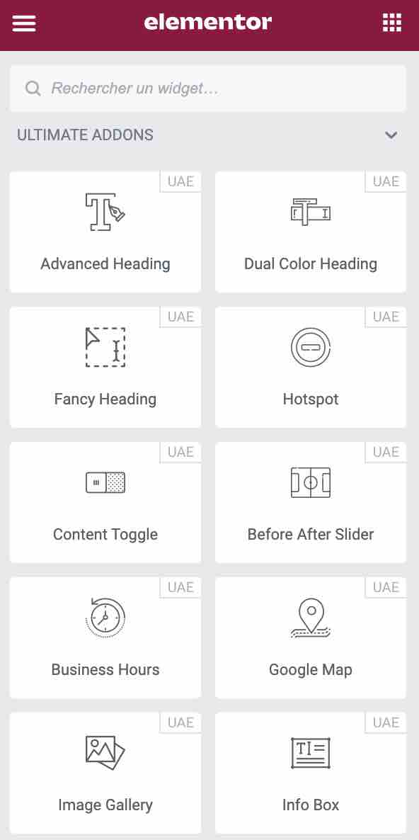 Aperçu de certains widgets proposés par Ultimate Addons for Elementor.