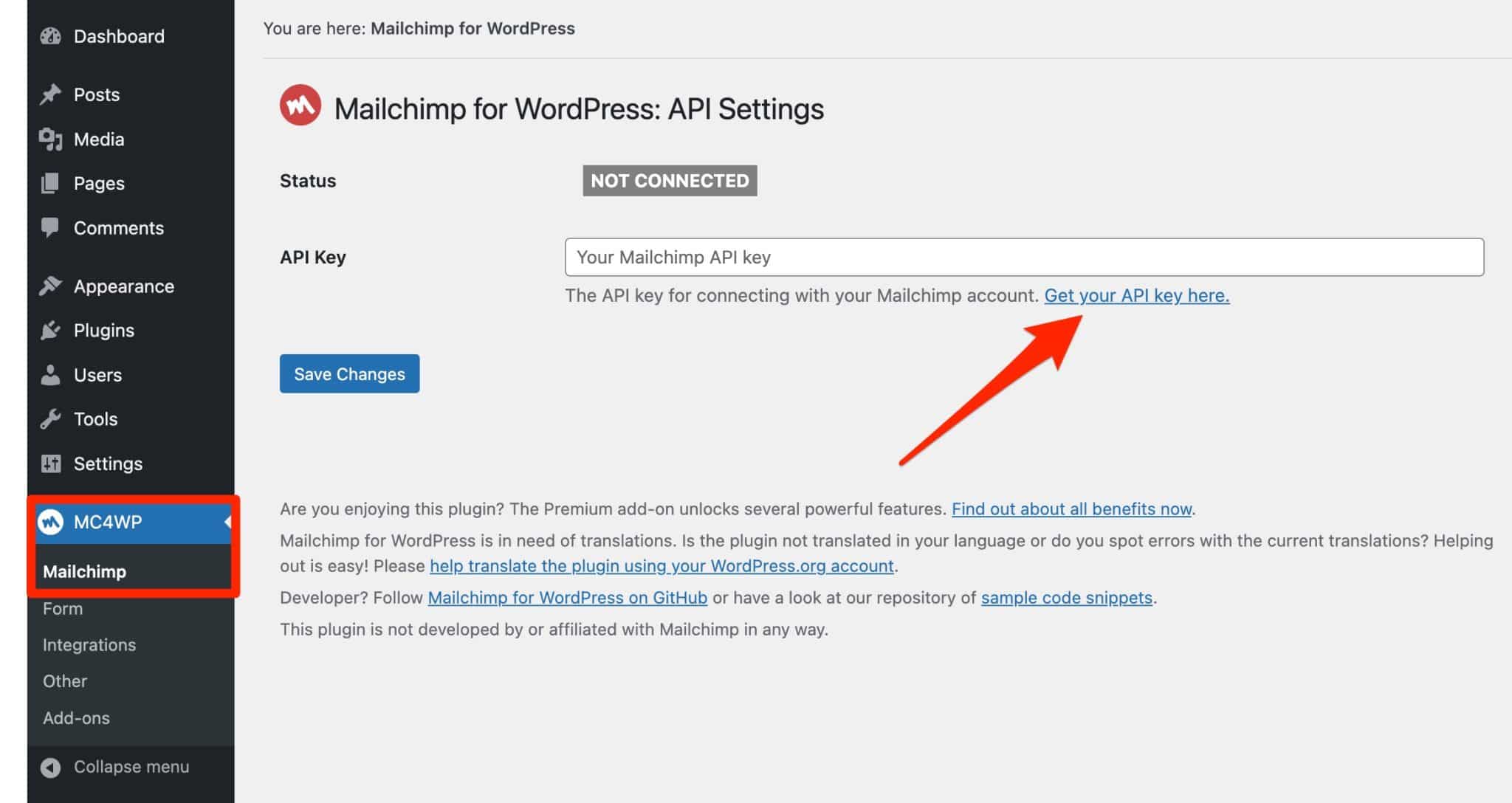 Find your Mailchimp API key.