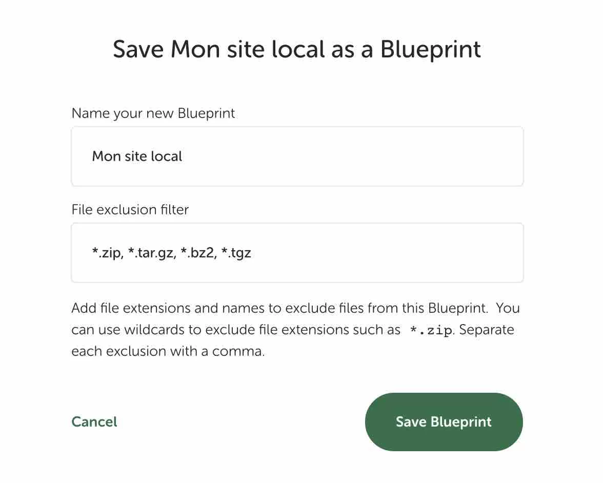 La sauvegarde d'un BluePrint permet d'exclure certains types de fichiers.
