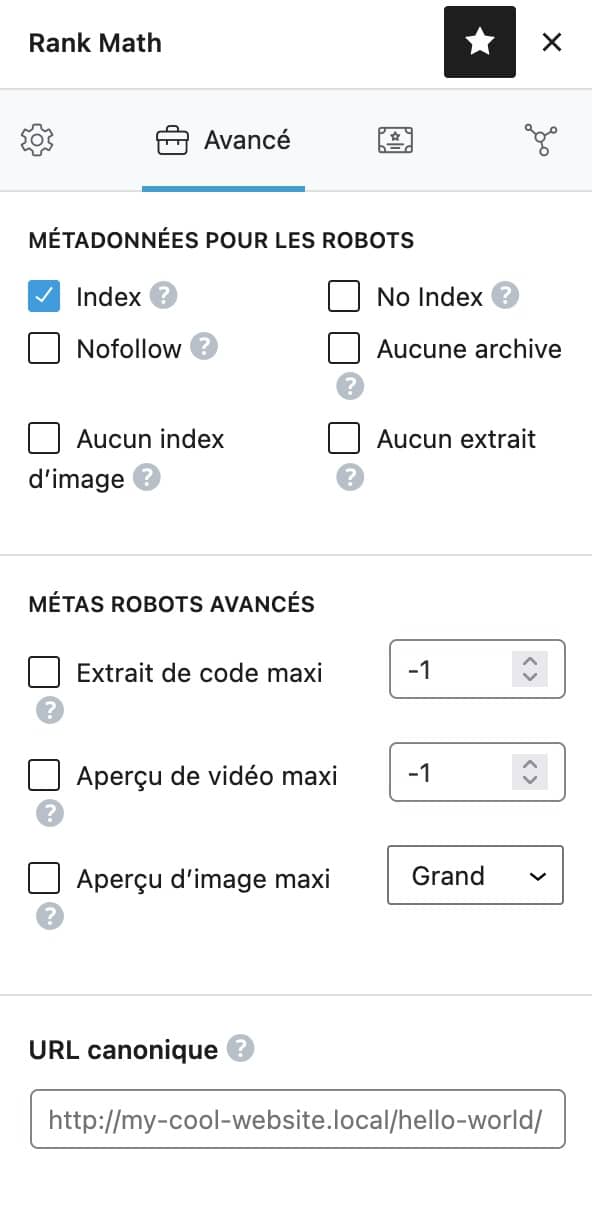 L'onglet Métadonnées pour les robots de Rank Math.