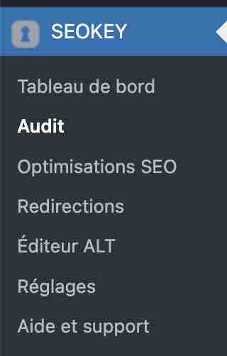 SEOKEY dispose de plusieurs sous-menus de réglages.