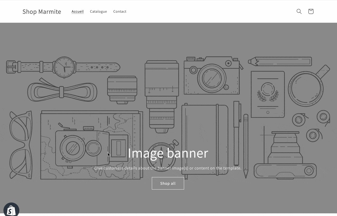 Aperçu d'une boutique créée avec Shopify.