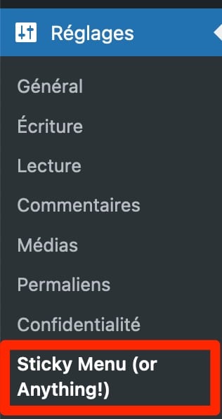 Le menu de réglages proposé par Sticky Menu.
