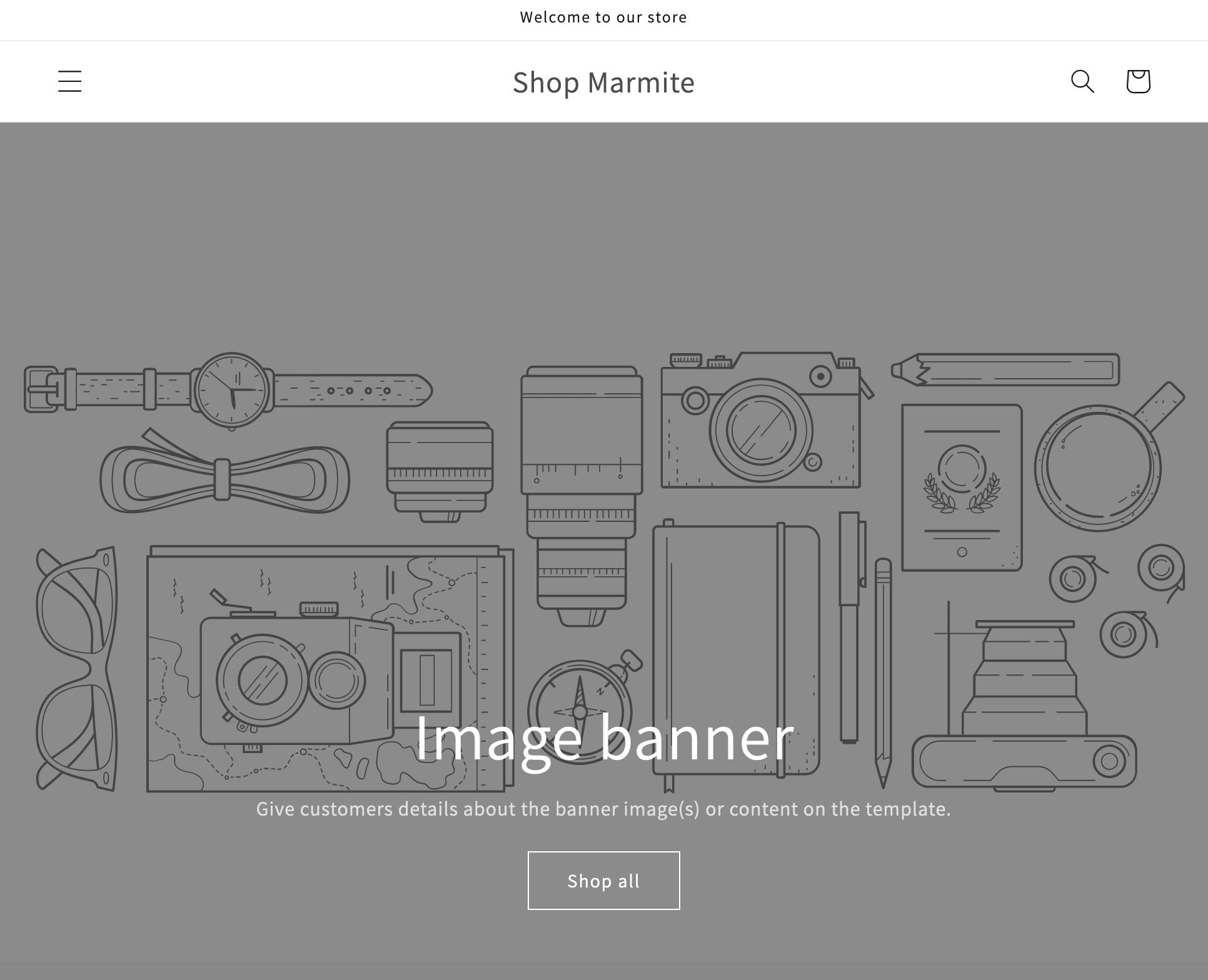 Preview of a Shopify store.