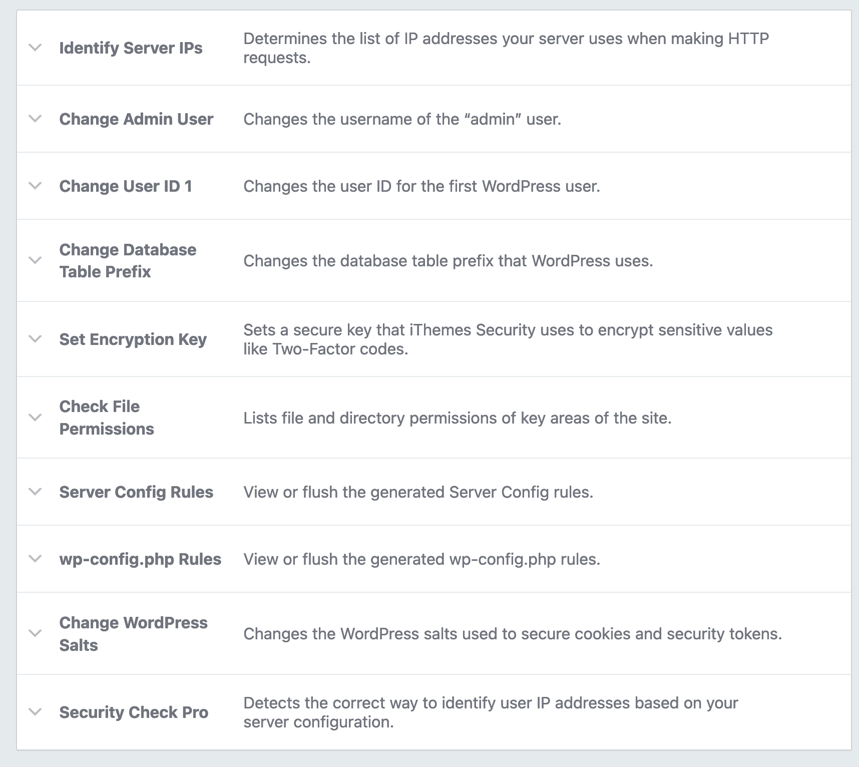 Overview of advanced options offered by iThemes Security.
