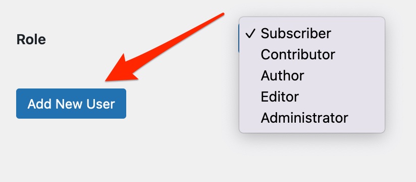 The process of choosing user roles on WordPress.