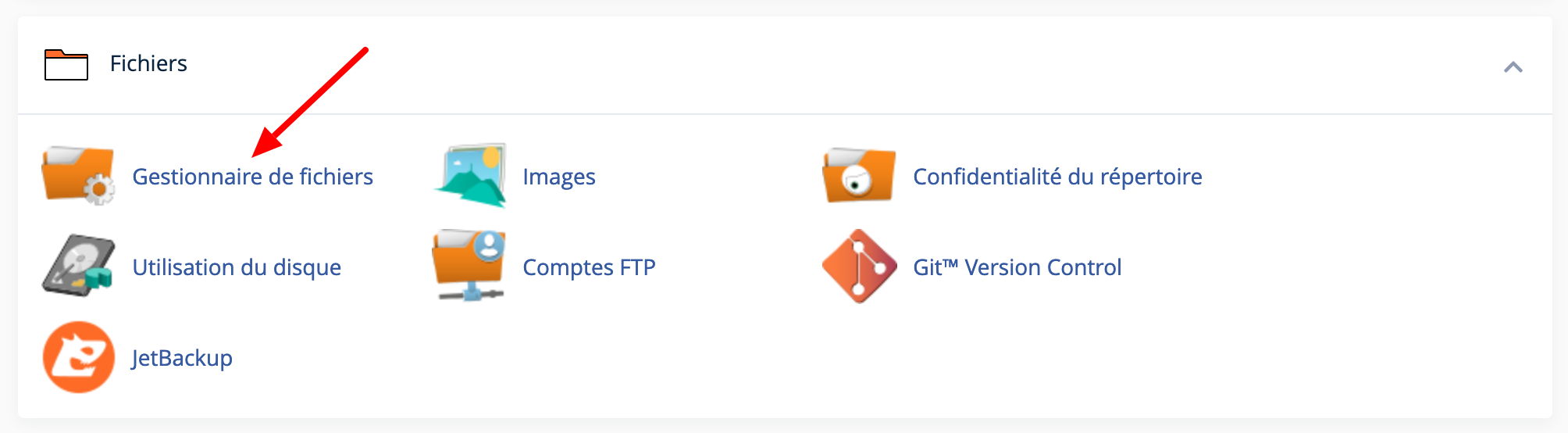 Gestionnaire de fichiers cPanel.