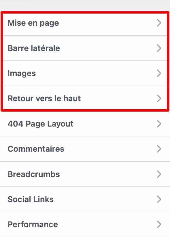 The menu of the Kadence theme, partially translated in French.