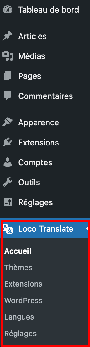 Menu de réglages de Loco Translate sur l'interface de WordPress.