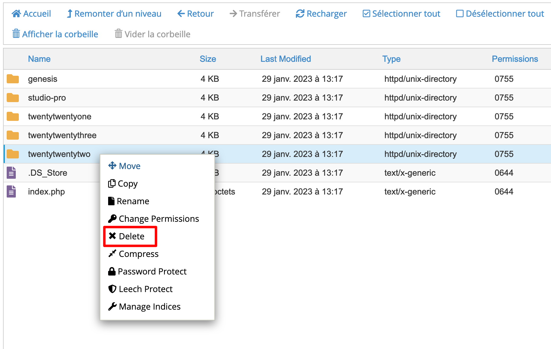 Supprimer un thème WordPress est aussi possible sur l'interface cPanel.