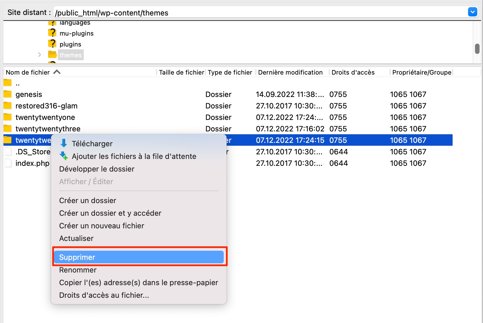Supprimer un thème WordPress avec un client FTP.