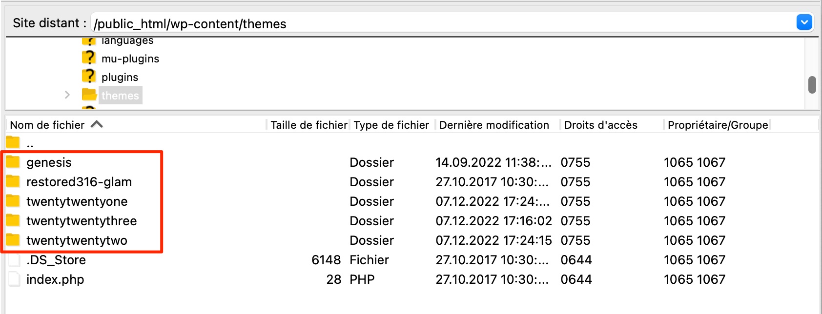 Liste de thèmes WordPress présents sur un client FTP.