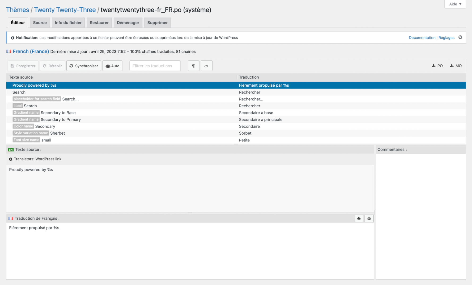 Interface du plugin WordPress Loco Translate.
