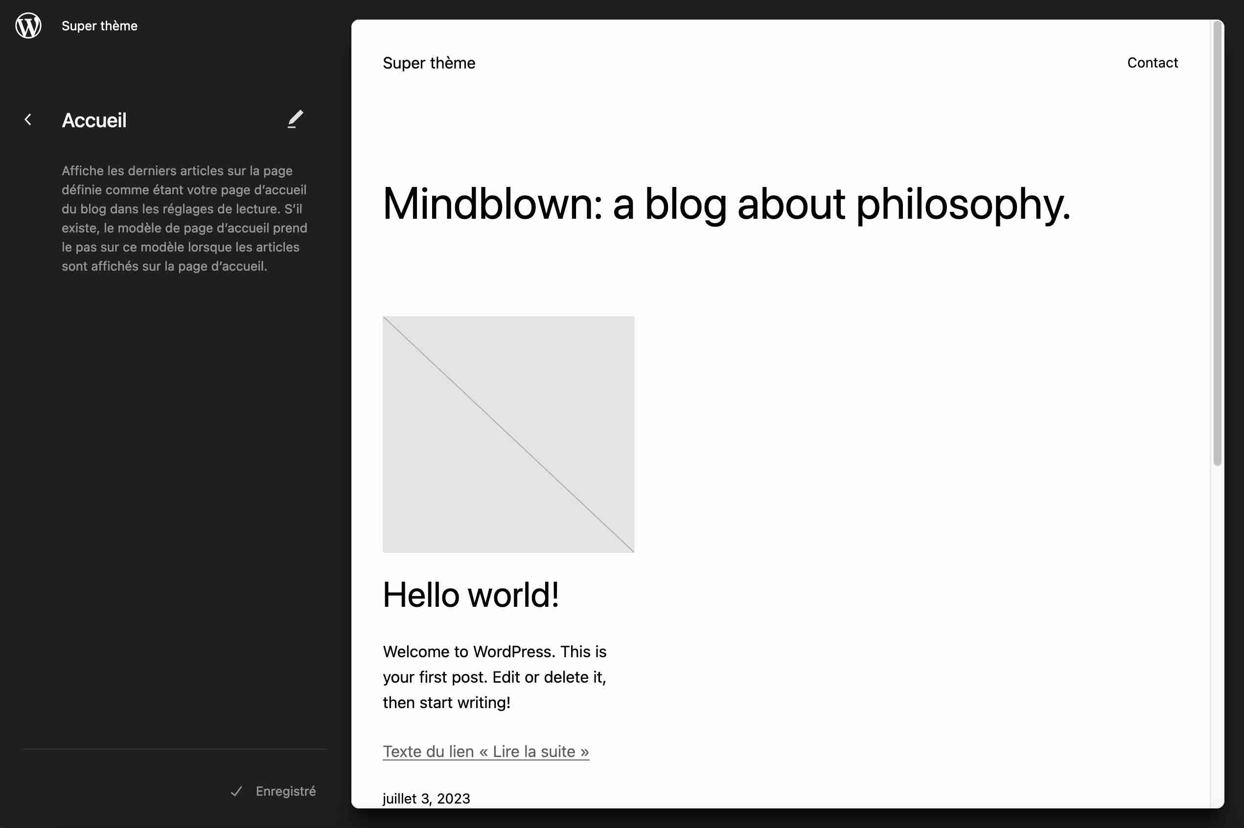 L'Editeur de site de WordPress.