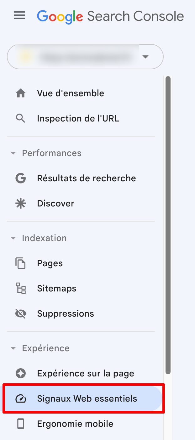 Signaux web essentiels sur la Google Search Console.