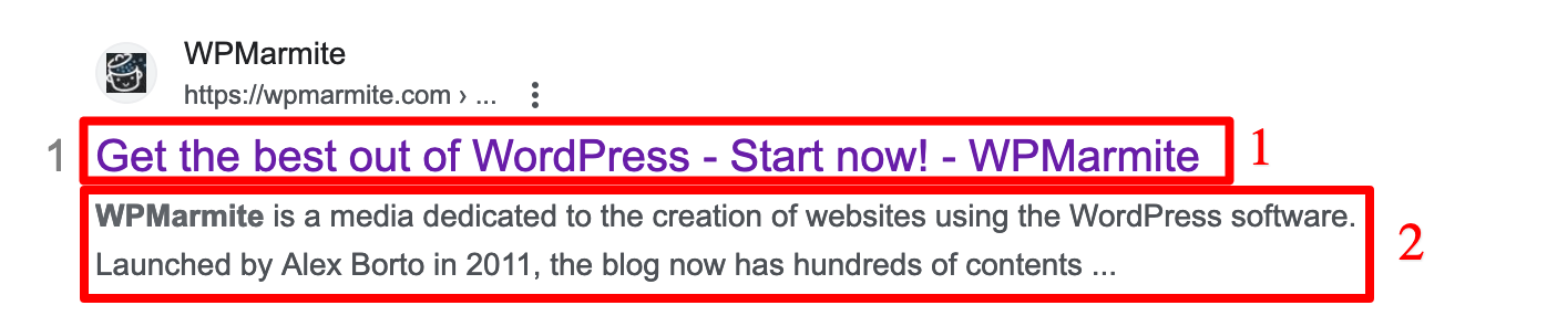 Title and meta description tags on Google.