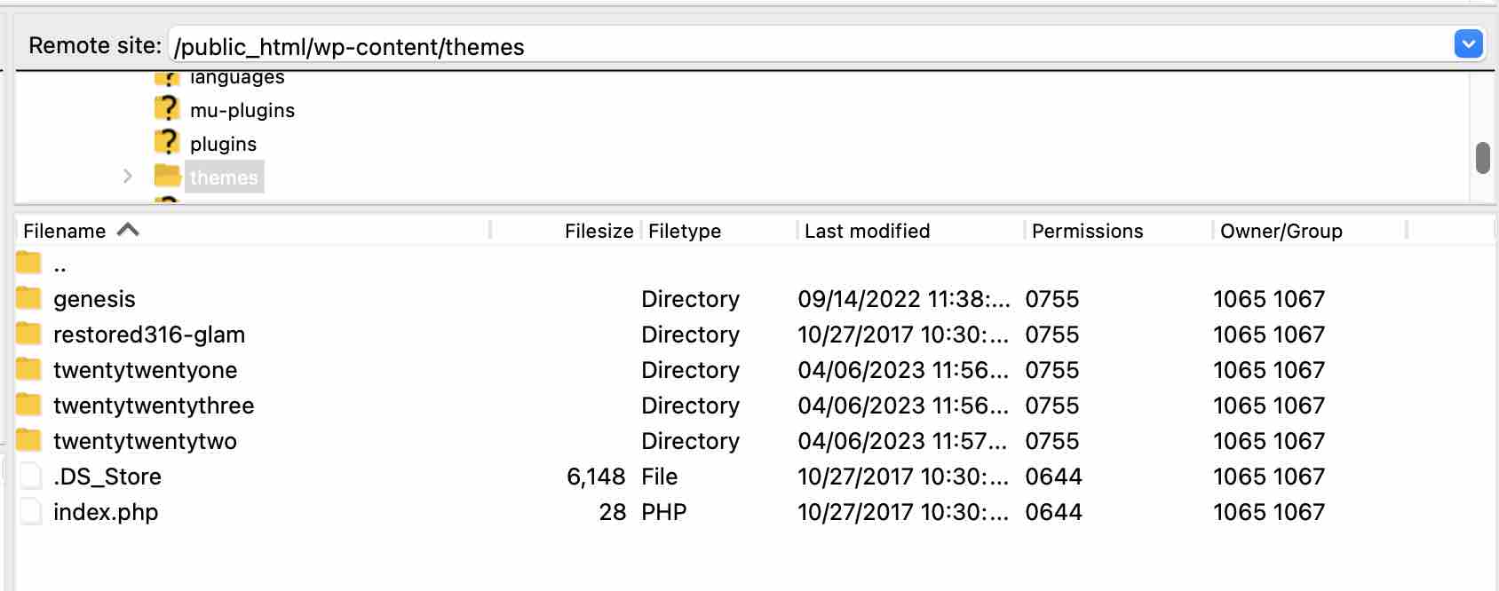 The wp-content > themes director on an FTP.
