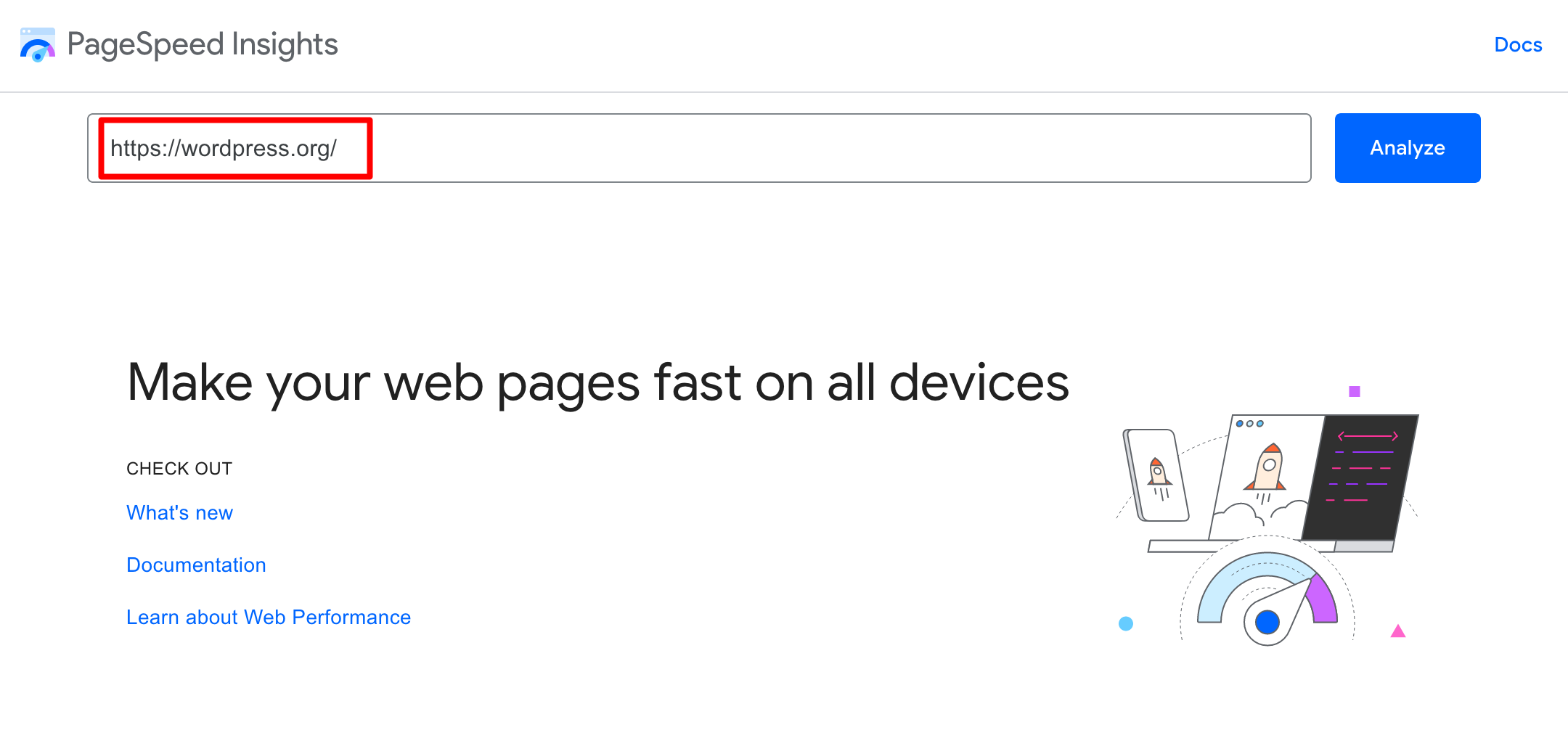 Analyzing a page with PageSpeed Insights.