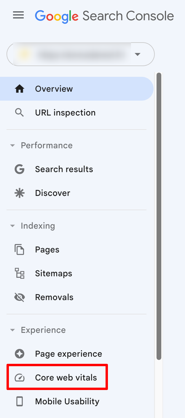 The Core Web Vitals on Google Search Console.