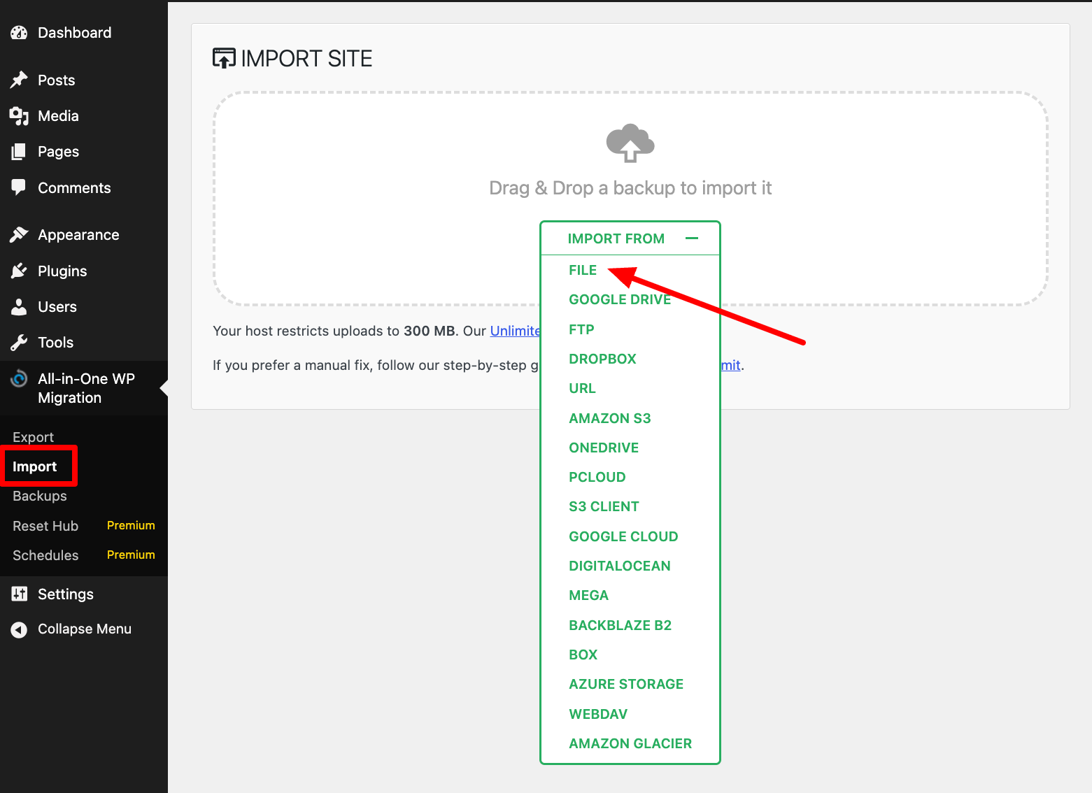 Importing a site with the All-in-One WP Migration plugin.