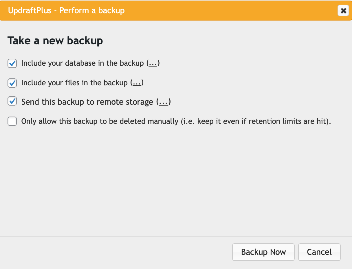 A popup window allowing you to edit any settings before taking a backup.