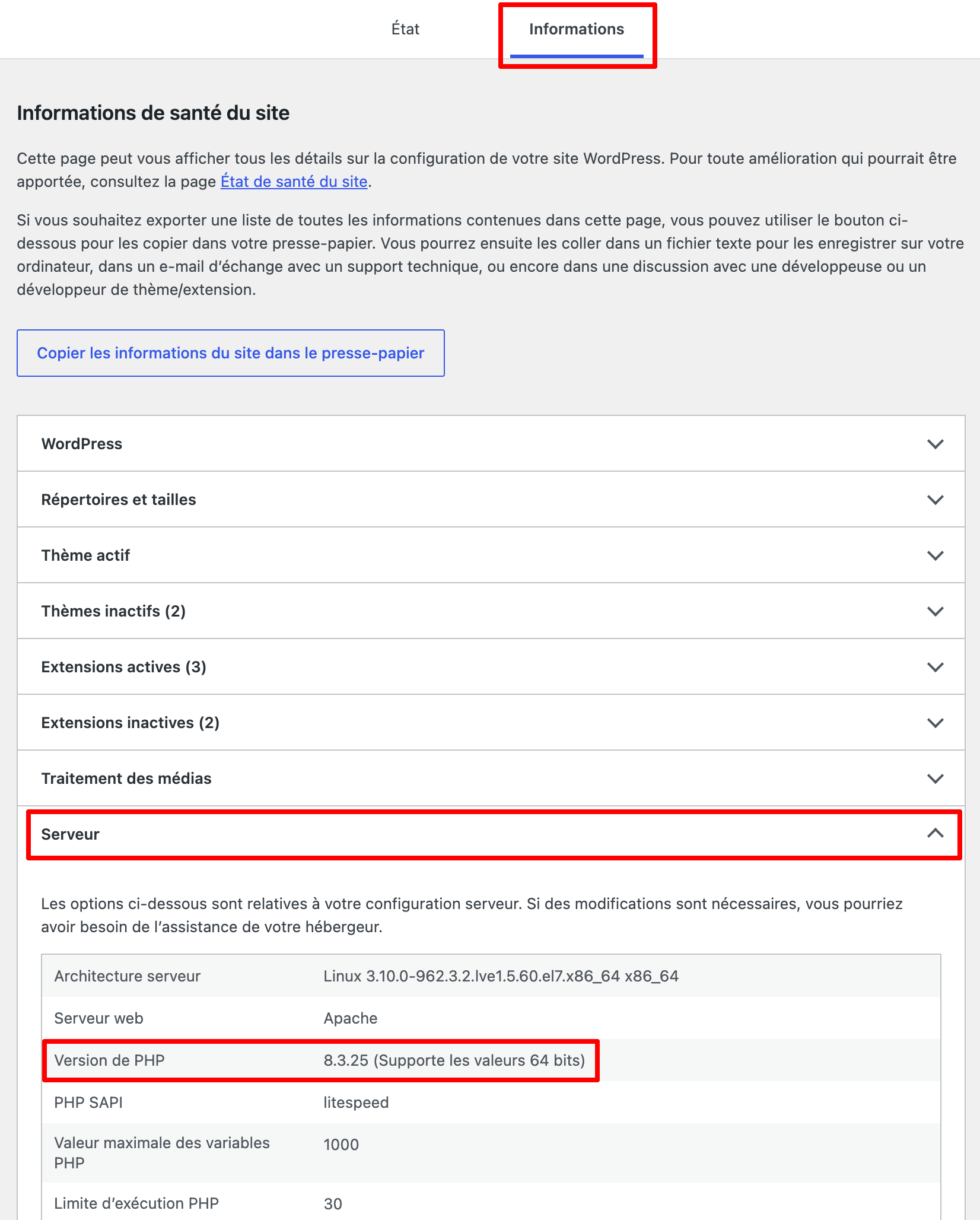 L'onglet "Informations" du menu "Santé du site" sur WordPress