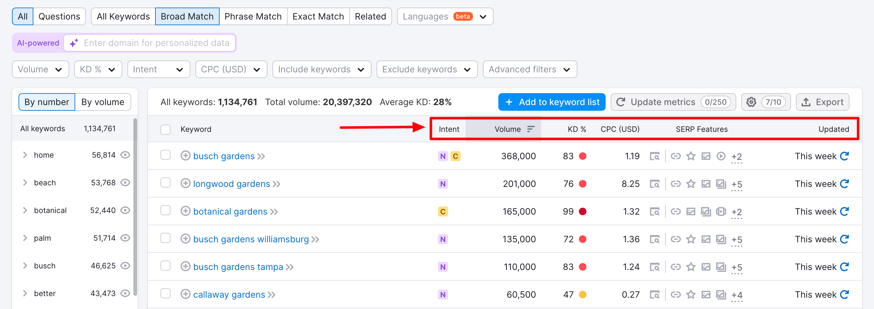 The options offered in the Keyword Magic Tool.