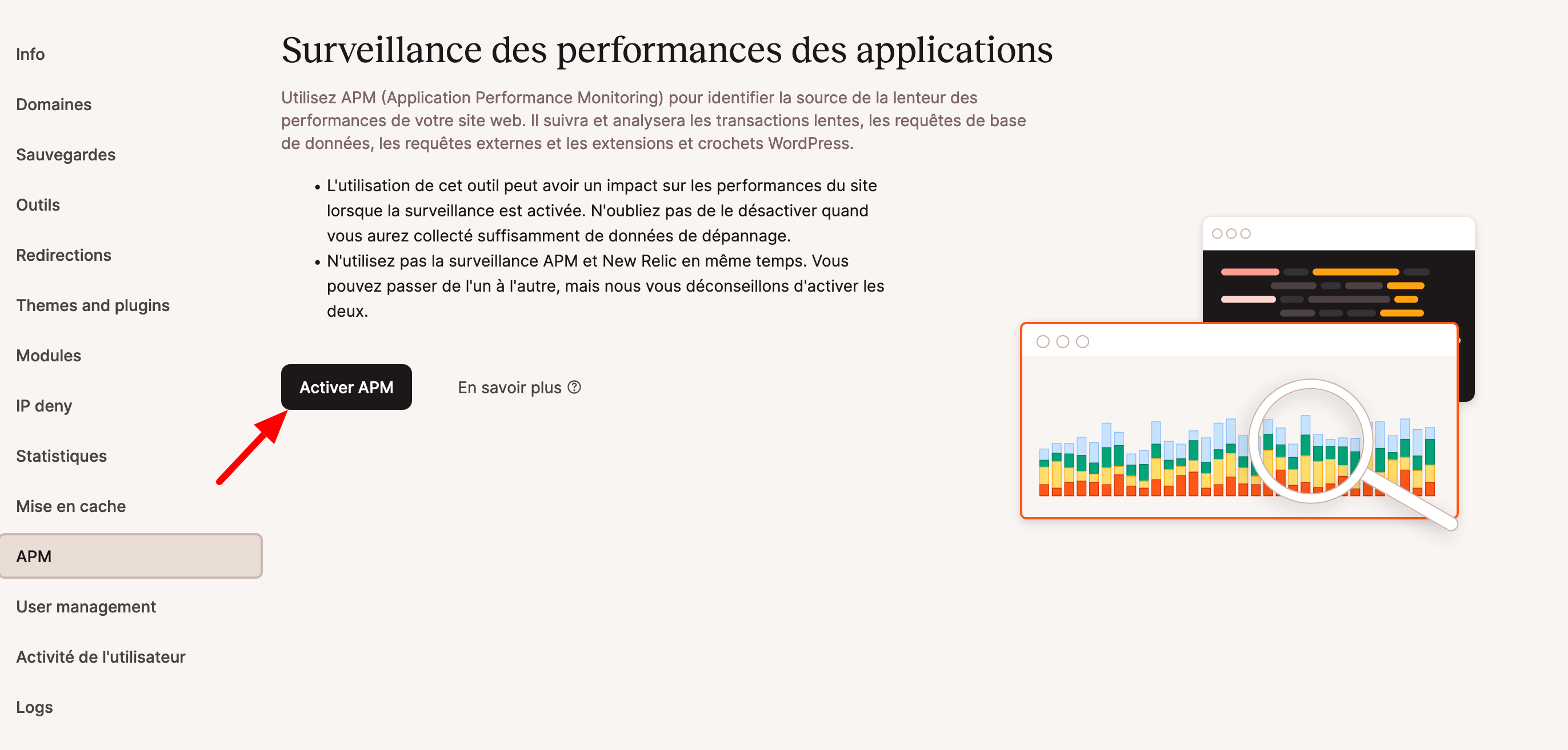 L'outil APM de MyKinsta.