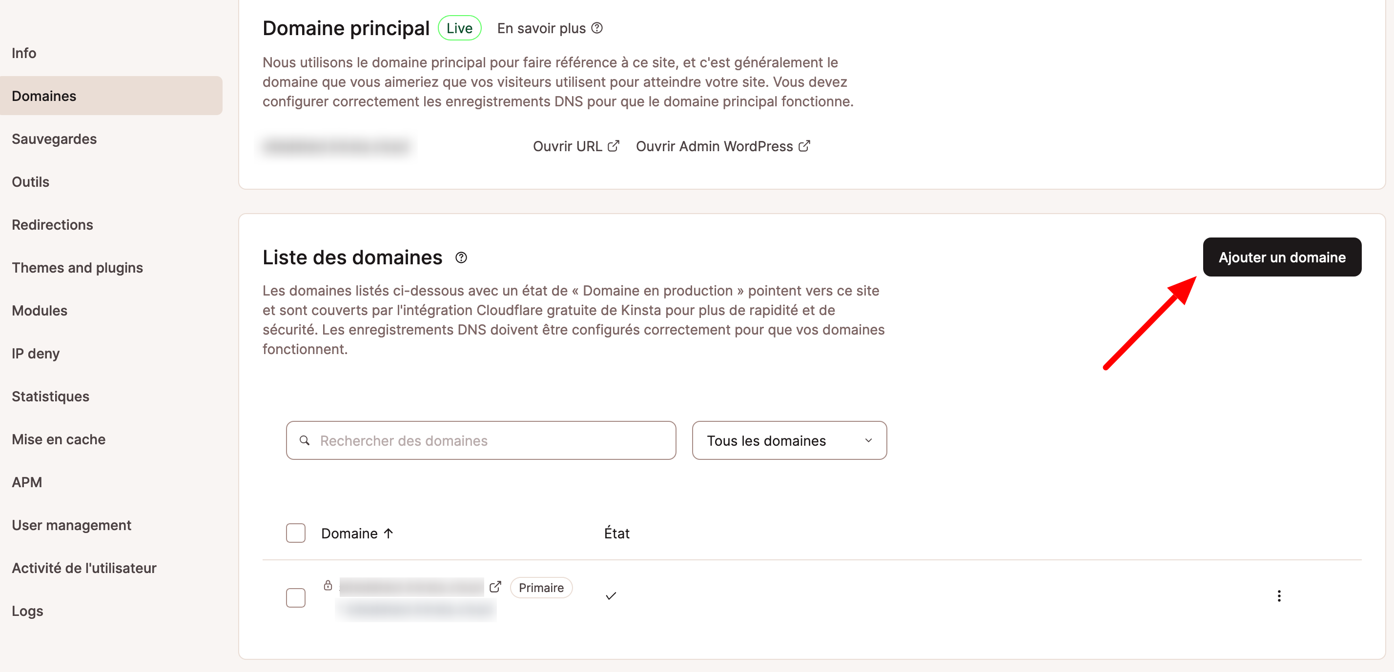 MyKinsta permet d'ajouter un domaine.