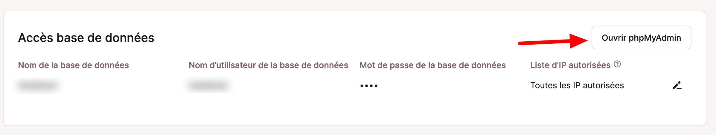 MyKinsta donne un accès à phpMyAdmin.