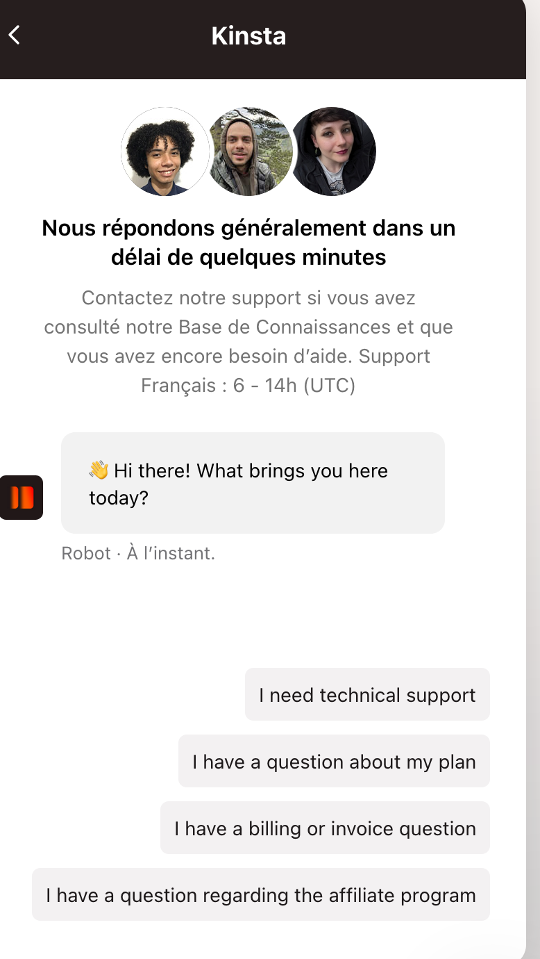 Le chat de Kinsta.