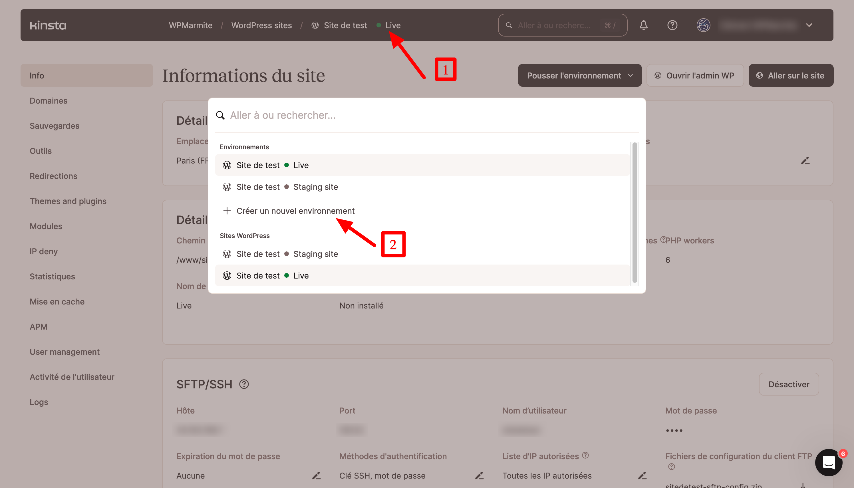 MyKinsta permet de créer un environnement de staging.