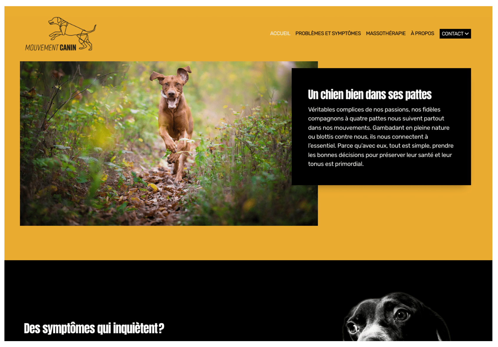Un exemple de site conçu avec Site Creator sur la massothérapie pour chiens sportifs.