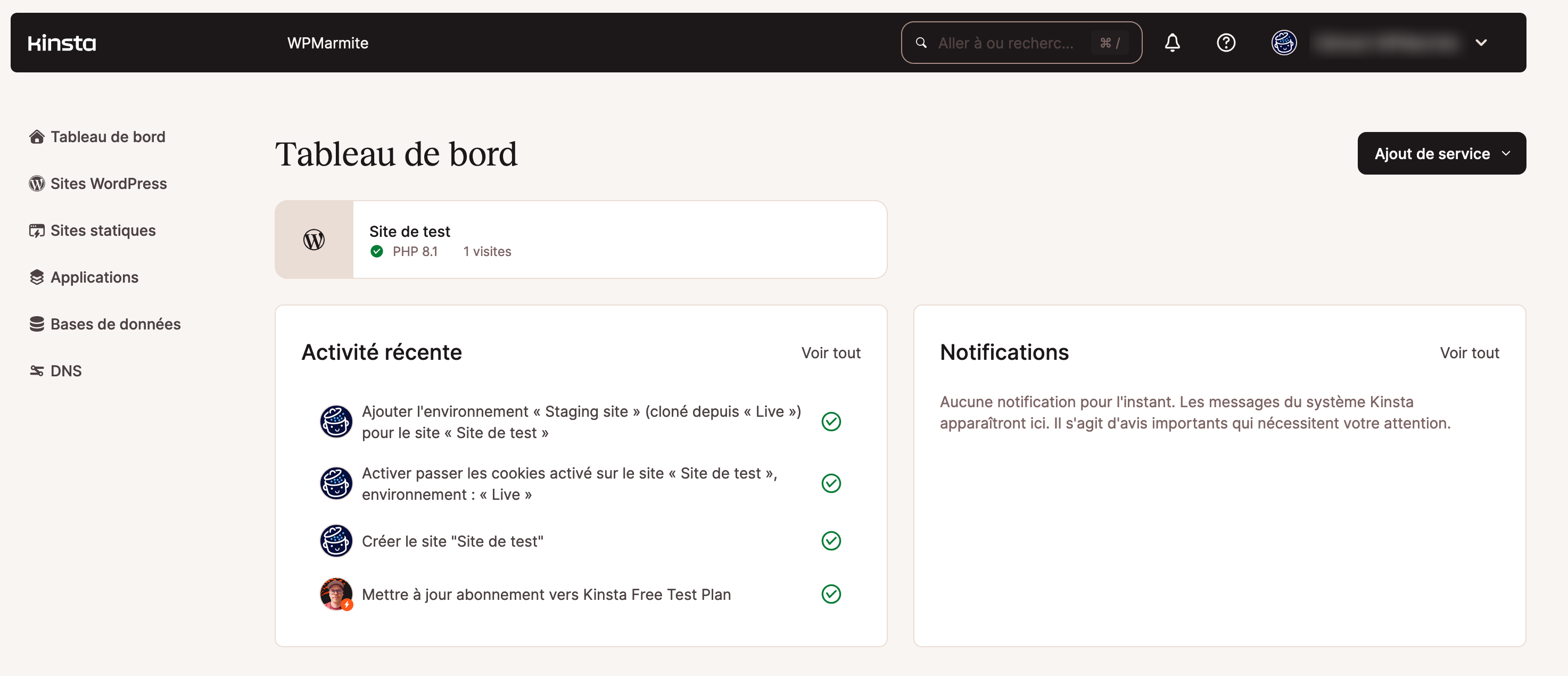 Le tableau de bord MyKinsta de l'hébergeur MyKinsta.