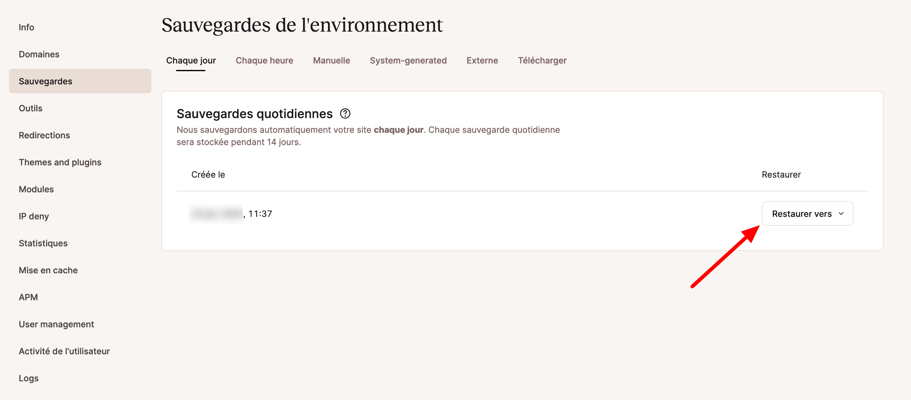 Restauration d'une sauvegarde avec MyKinsta.