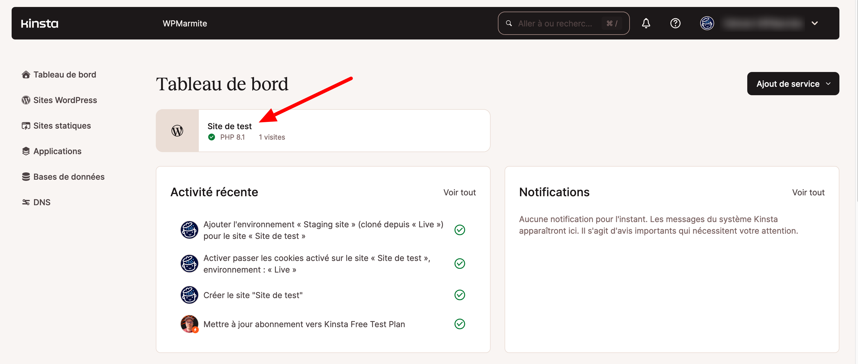 Présentation d'un site WordPress sur le tableau de bord MyKinsta.