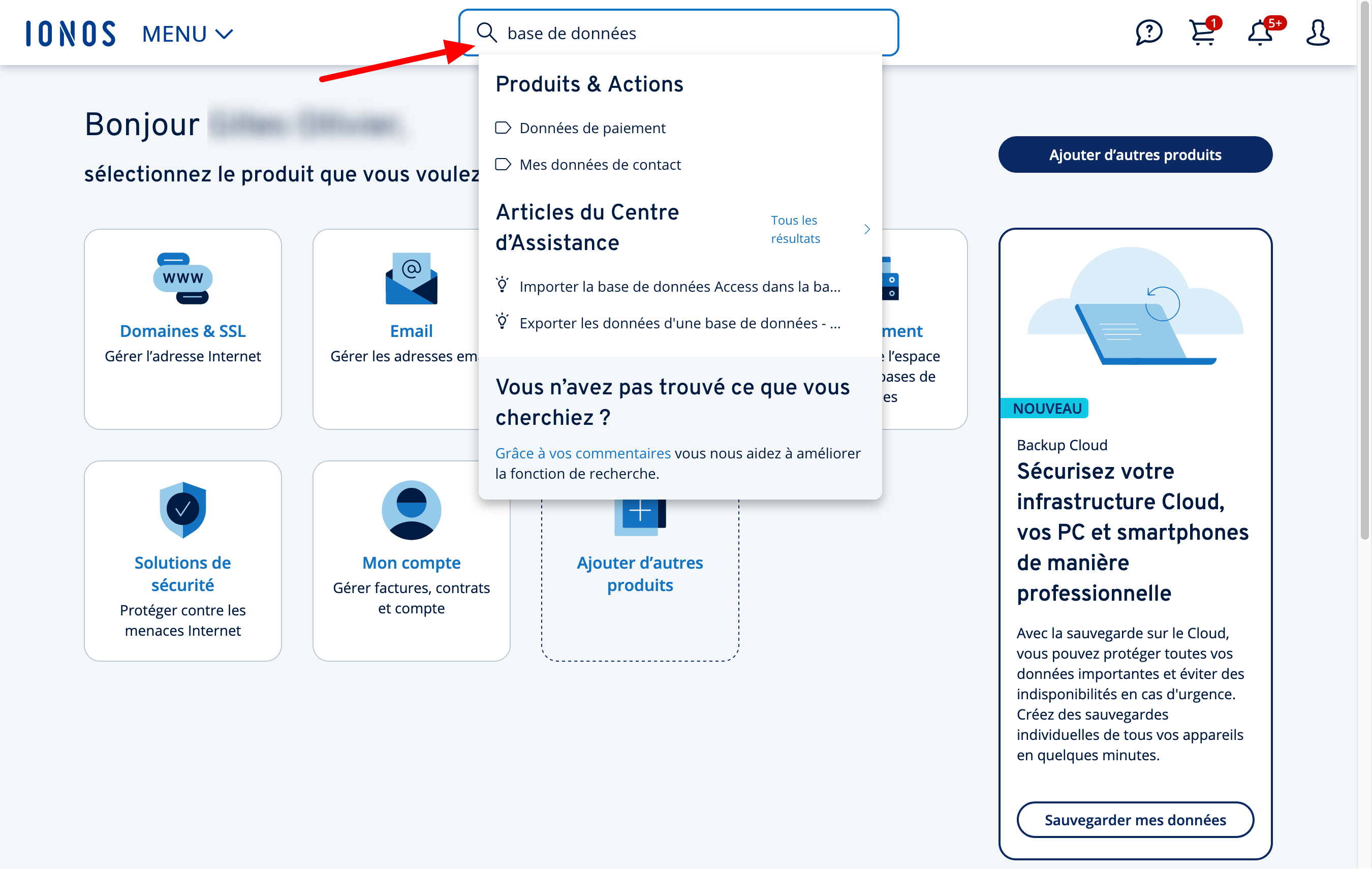La barre de recherche proposée par Ionos.