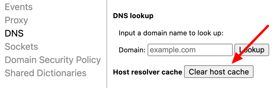 Clear Google Chrome's DNS cache.