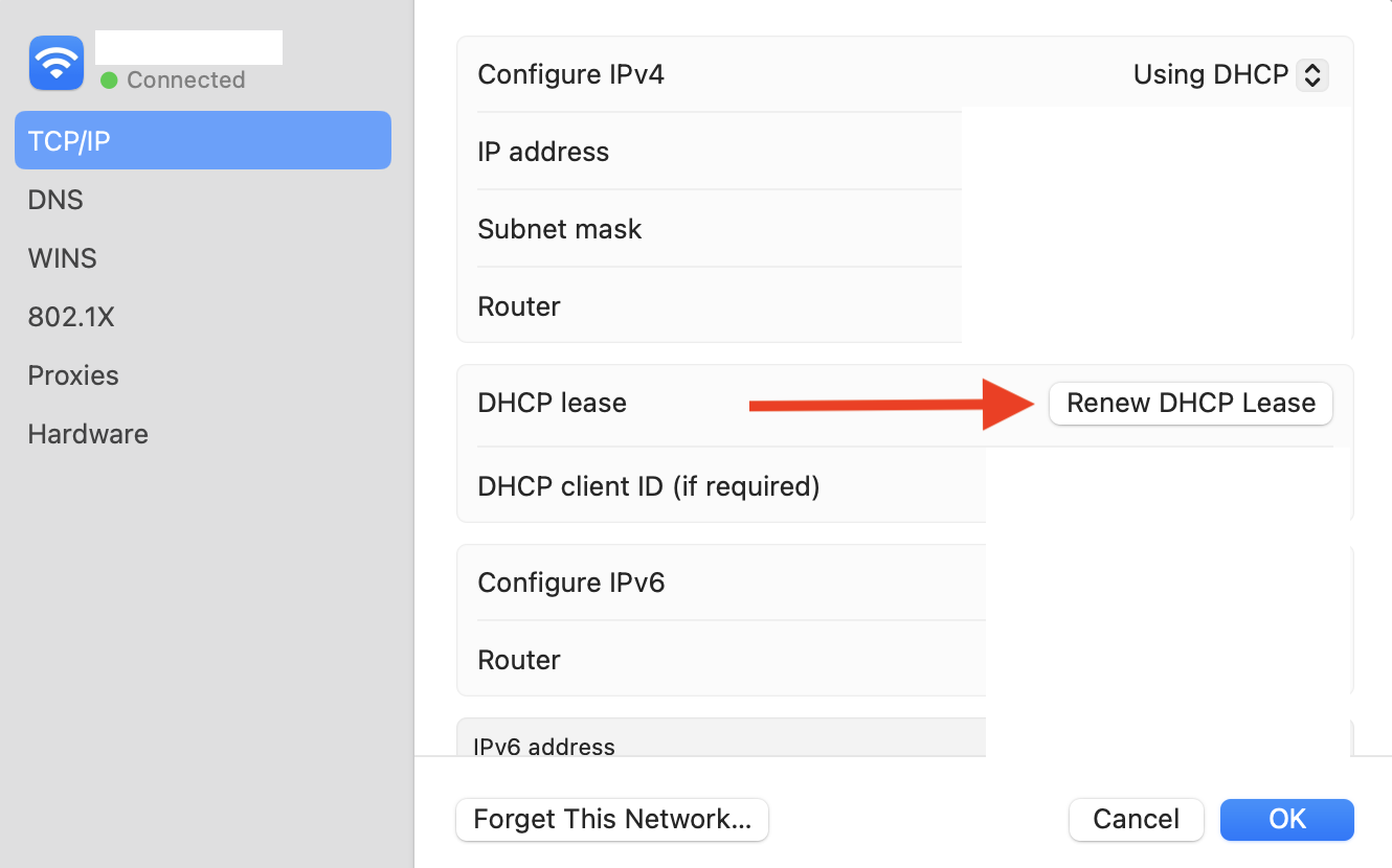 Renewing the DHCP lease on MacOS.