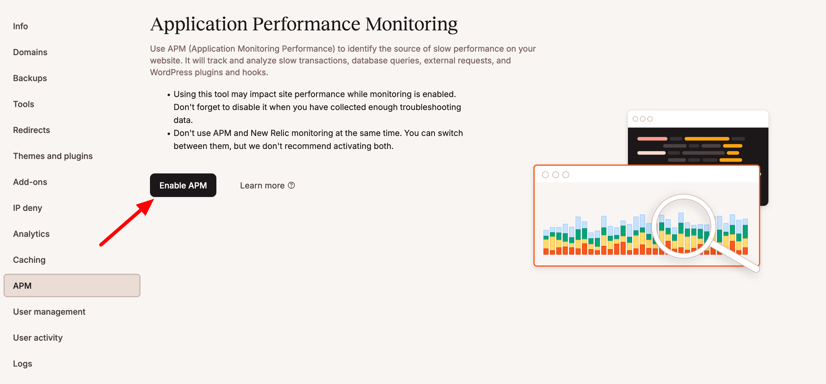 MyKinsta's APM tool.