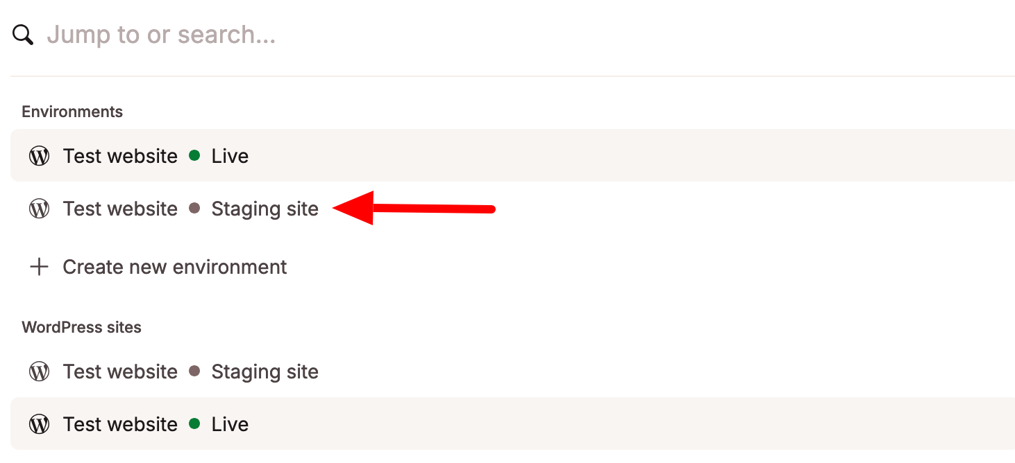 A WordPress staging site created with MyKinsta.