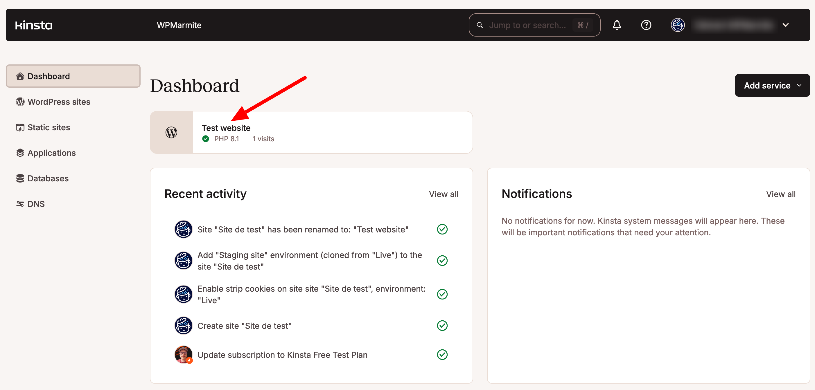 Once you've created a site through MyKinsta, you can view it from your dashboard.